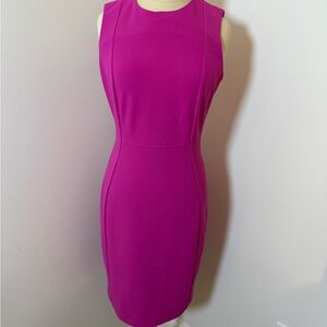 Calvin Klein Fuchsia Sleeveless Sheath Dress Sz 4 Gold zipper